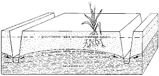 Sub-surface Drainage - AgriHunt - A Hunt for Agricultural Knowledge