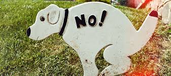 Myndaniðurstaða fyrir no