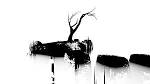 The Unfinished Swan for PlayStation 3 Reviews - Metacritic