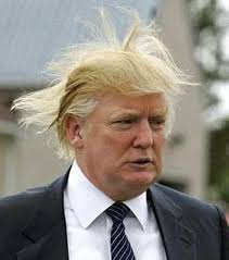Resultado de imagen de Macleod Trump