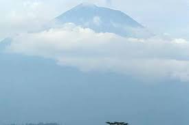 Radar Malang - News update