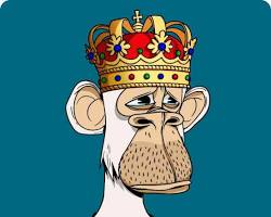 Bored Ape Yacht Club resmi