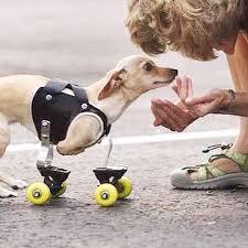 kindness makes the #world better.