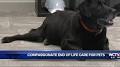 Profile Picture of Hospice vet provides compassionate end of life care - WCTVon Google