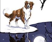 Imagen de chamada da selva Jack London portada