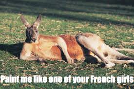 Image result for Animal Meme