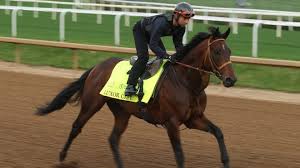 Kentucky Derby 2025: Favorites, Horses, and How to Watch