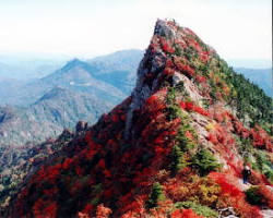 石鎚山の紅葉の画像