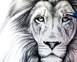 Image of shaded lion drawing