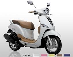 Kết quả hình ảnh cho xe máy