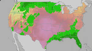 Labor Day Weekend 2026: Will 135 Million Travelers Still Spend $15.6 Billion as a Weather Divide Crashes Outdoor Plans?