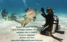 Marine biology on Pinterest | Biology Major, Sharks and Otters via Relatably.com