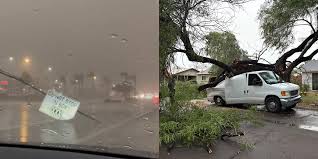 AZFamily - News update
