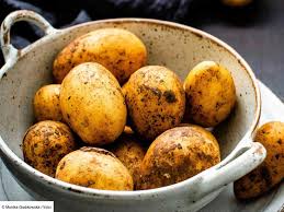 Conserver les pommes de terre : l’astuce pour les garder longtemps sans germer