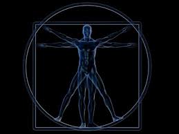 Resultado de imagen para cuerpo humano
