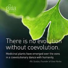 Motivation and Mantras on Pinterest | Medicinal Plants, Gratitude ... via Relatably.com