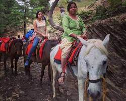 Image of Horse riding in Shimla