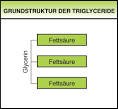 Triglyceride 