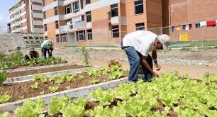 Resultado de imagen para agricultura urbana