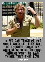 If we can teach people about w… Steve Irwin | Viral Media Life via Relatably.com