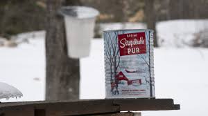 bogus maple syrup — trending on Google in Canada