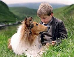 Lassie (Franchise) - TV Tropes via Relatably.com