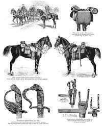 external image images?q=tbn:ANd9GcQ6Y8xC4B7t4mEYbDtfNIoadDJJjXW8KabNZ8BQnDkuwHutKltAYQ