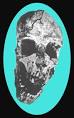 Image result for Modern Human Skeleton from Tanzania