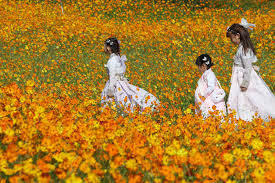 날씨 Alert: Korea Weekend 15°C Temperature Trap — 8°C Mornings + Nationwide Autumn Rain Will Make You Catch a Cold