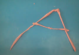 Resultado de imagen para conociendo los nombres de las familia