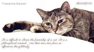 Theophile Gautier Quotes About Cats | A-Z Quotes via Relatably.com