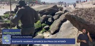 TV Brasil | - News update