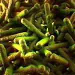 Listeria outbreak: South African neighbours