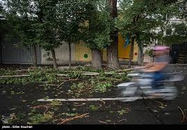نتیجه تصویری برای طوفان البرز