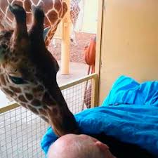 Puss och hej då, Mario!