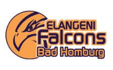 Image result for bundesliga logo 2015