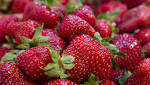  Contaminated frozen strawberries recalled in Quebec and Ontario