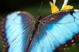 Image result for beautifull image