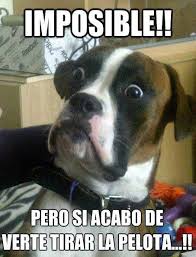 Resultado de imagen de imagenes graciosos