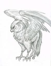 Image result for hippogriff