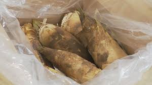 News source: Yahoo!ニュース