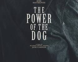 Image of Power of the Dog (2021) movie poster