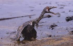 Resultado de imagem para fotos de poluição de derrames de crude