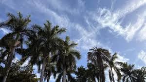 Sábado frío en el norte de Sinaloa: sol, máximas de 30 y mínimas de hasta 7 grados