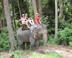 Trekking on Koh Phangan early morning