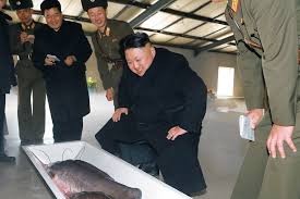 Image result for South Korea claims North hacked nuclear data