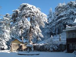 Image result for shimla images