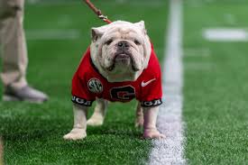 uga football schedule 2024