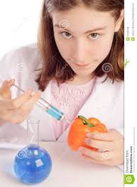 Young female scientist injecting an orange pepper - young-female-scientist-injecting-orange-pepper-24498758