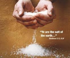 Image result for you are the salt of the earth NKJV